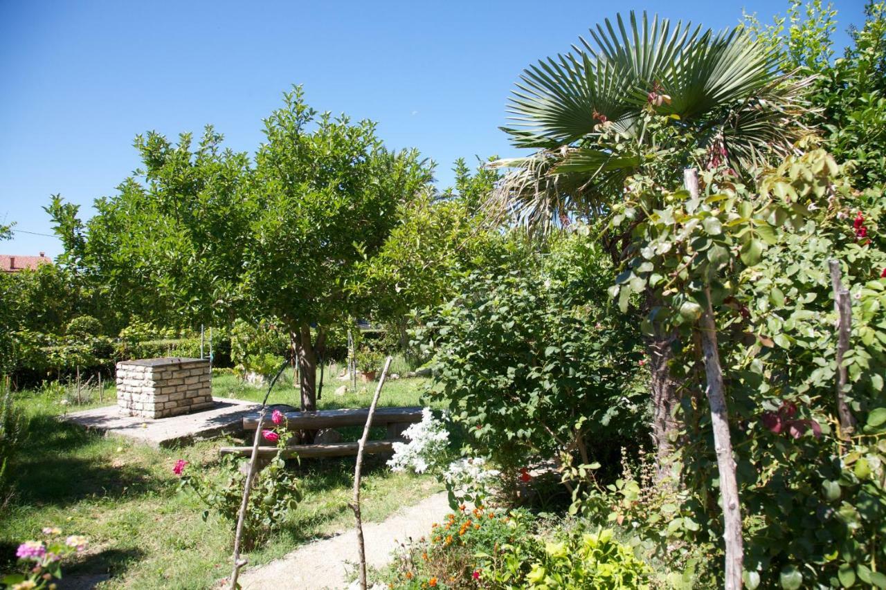 ראב Apartments Slavica מראה חיצוני תמונה